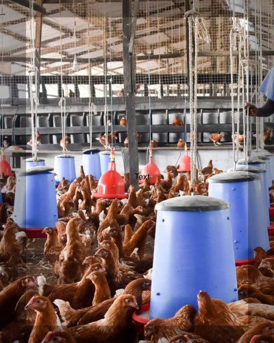Farm Management System
